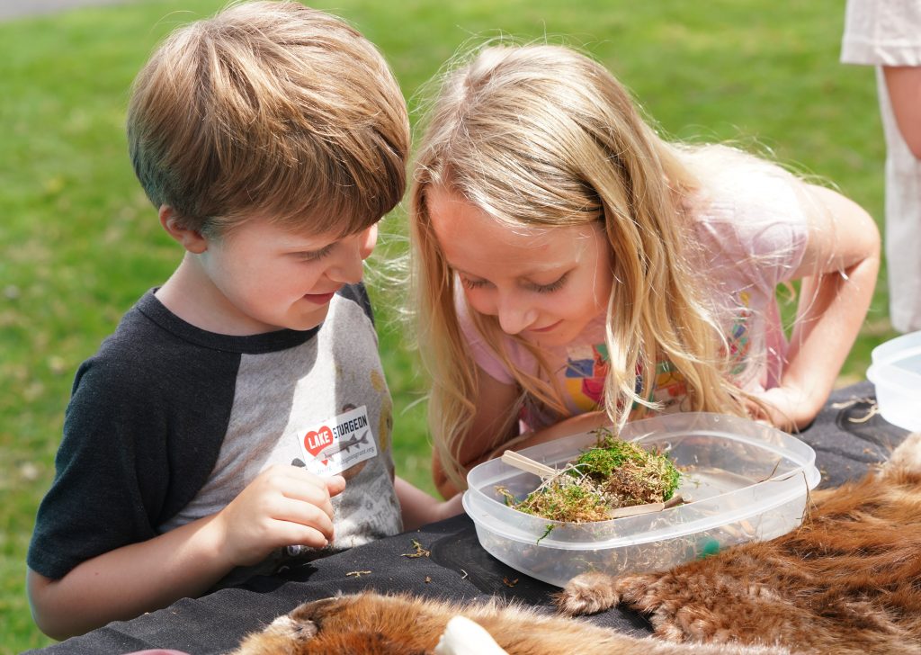 Two kids look at vegetation at Lake Fest.