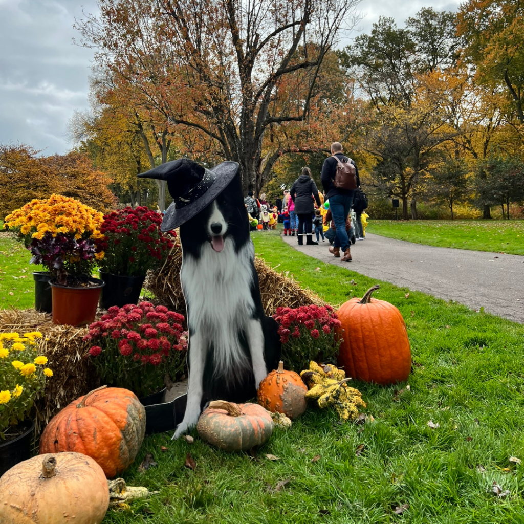 A cardboard cutout of Moss the Goose Dog wearing a witch's hat.