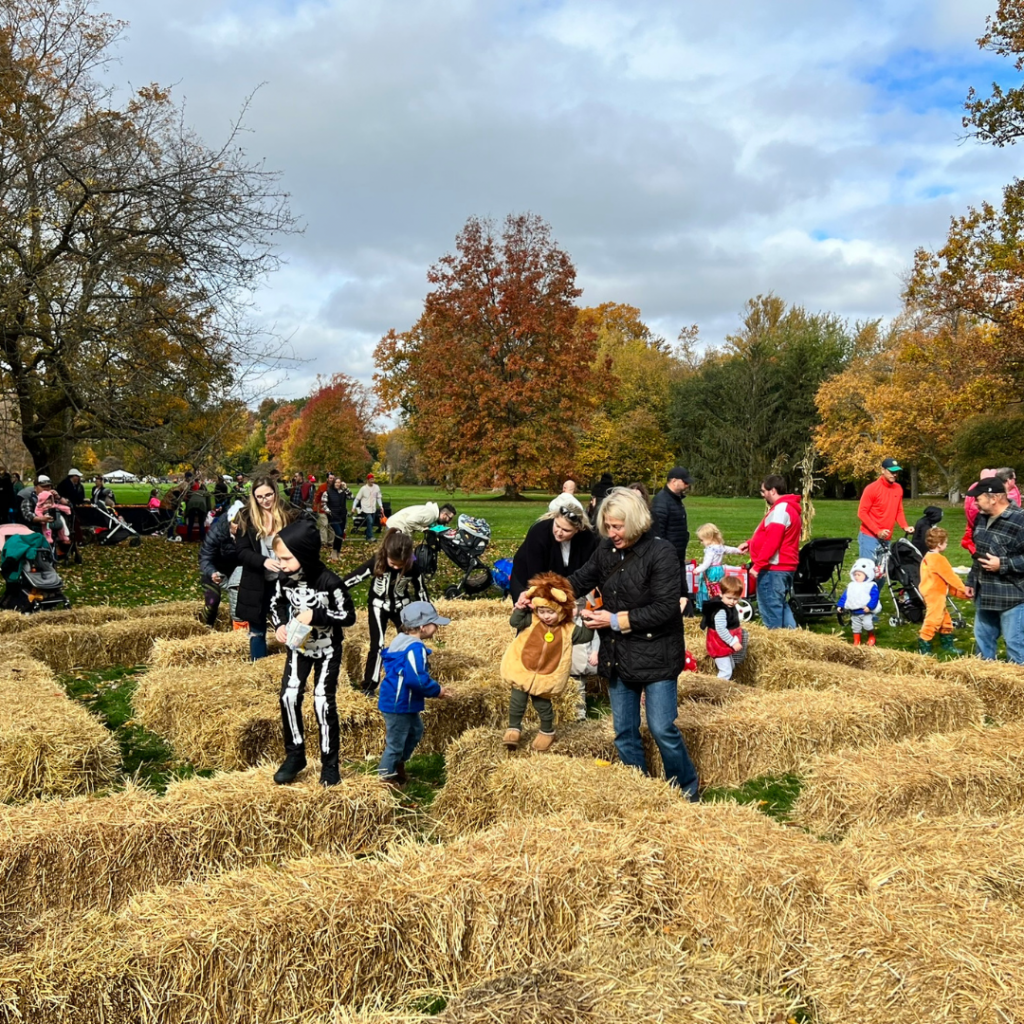 Children enjoy a straw bale maze.